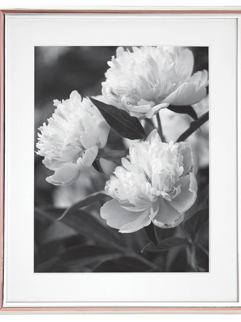 Rosy Glow 8" x 10" Frame