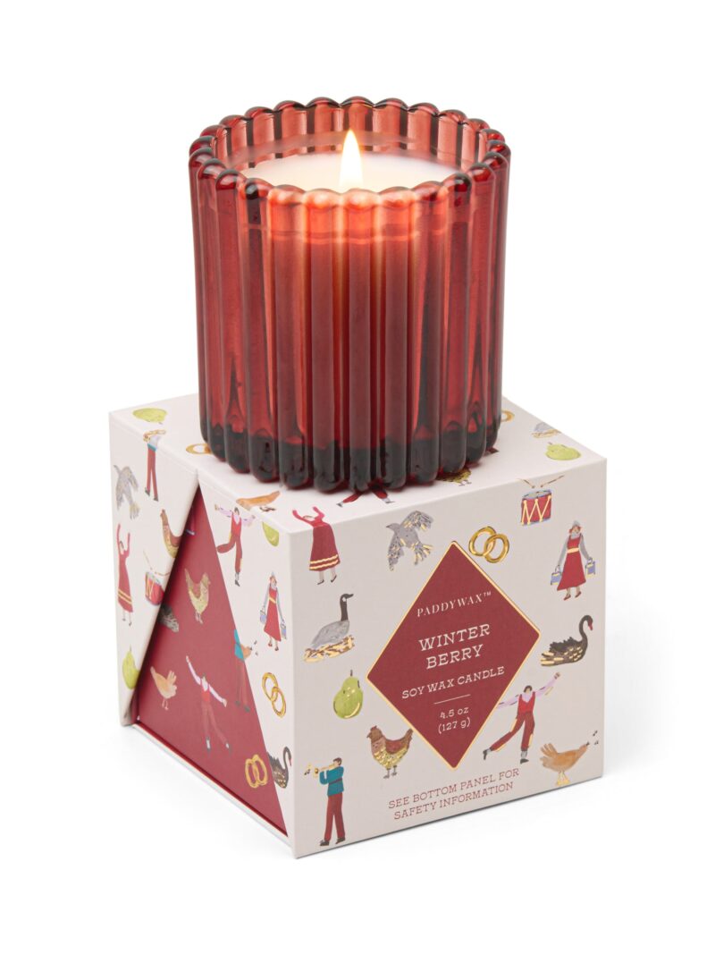 Winter Berry 4.5-oz Soy Wax Holiday Candle, Gift Boxed